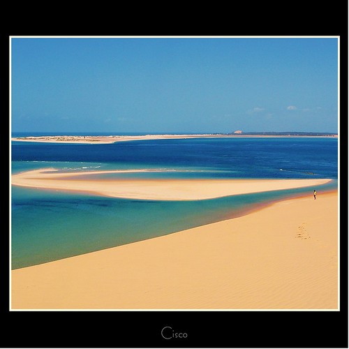 BAZARUTO ISLAND by cisco image 