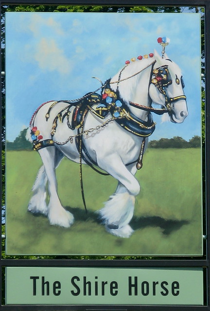 The Shire Horse, Maidenhead