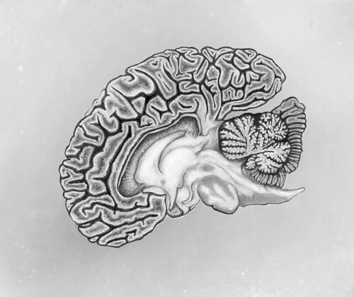 Brain's Blue Channel | by kristashap