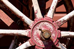 Wagon Wheel (123 of 365)