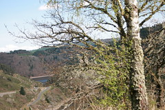lun, 26/04/2010 - 17:10 - 062