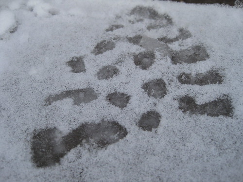 Boot Print | by Ben+Sam