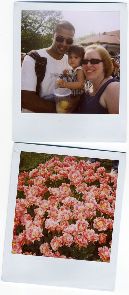 set4
