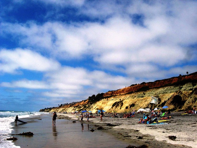 Sunny Day at Torrey Pines State Beach, California's Best