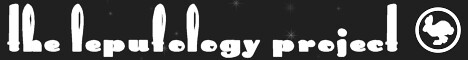 lepufology.banner.468x60.logo.1