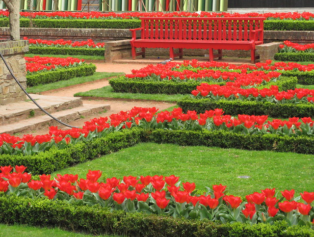 Red garden