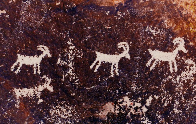 Bighorn Sheep Petroglyphs