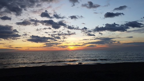 Don't go a-stray 🐕! 🌅👣🐶 #sunset #nofilter #morong #bataan #beach #straydog #lonely #samsungs7 #igers | by kareindirecto