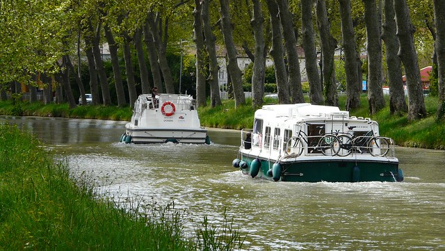 Le long du canal du Midi, il y a......
