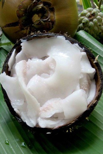 Young Coconut Meat