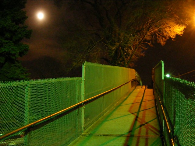 one tree bridge at full moon