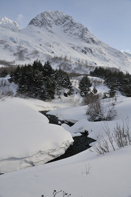 Snow River Headwaters