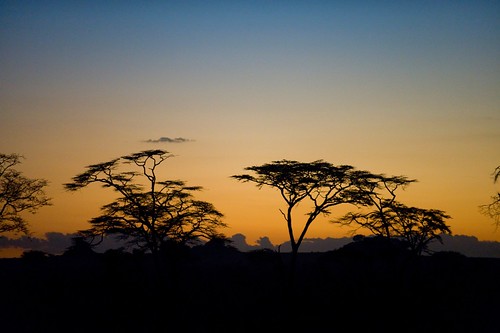 africa sunrise tanzania dawn safari serengeti