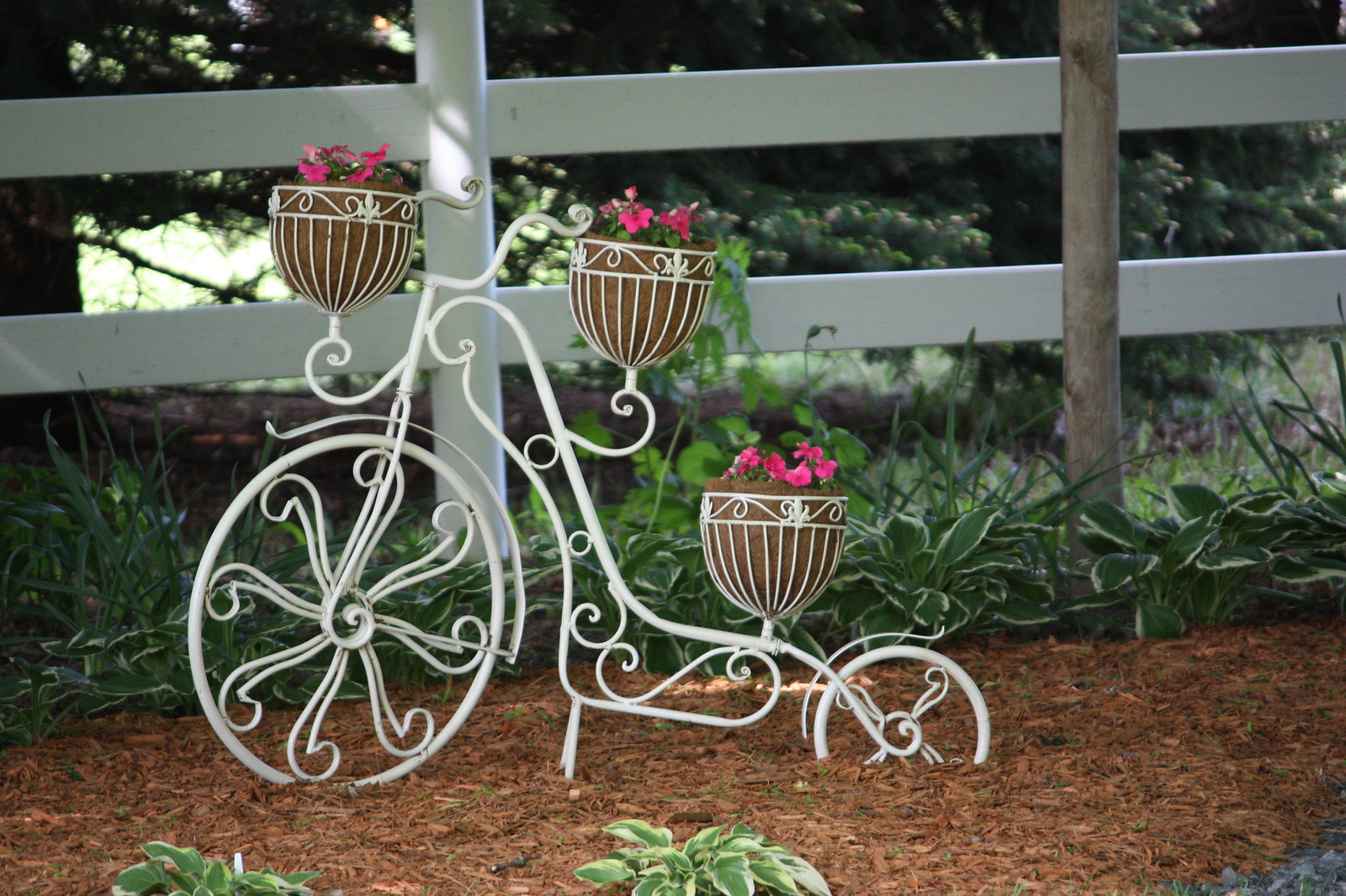Flower Bikes | Flickr