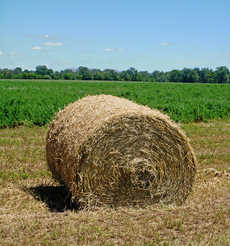 rural michigan farm country farming harvest straw ag roll hay agriculture bale brucetownship
