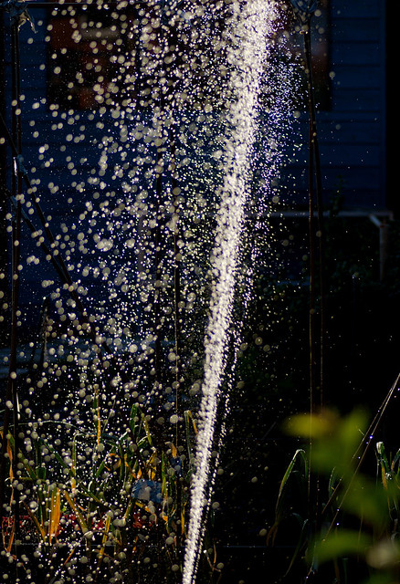Sprinkler in the garden