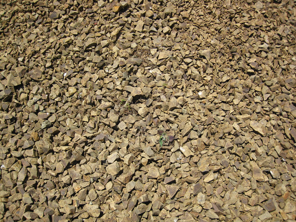 Shale