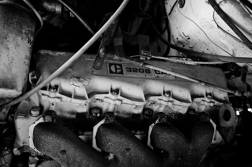 bw ford cat truck geotagged nikon rust diesel decay urbandecay january engine australia greatlakes 1870mmf3545g nsw newsouthwales motor 2009 abondoned lightroom dieselengine d90 enginebay nikkor1870mmf3545g wix 3208 nikond90 coolongolook cat3208 caterpillar3208 wixfilter wixfuelfilter d90200901257042 geo:lat=32218917 geo:lon=152321291