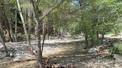 Wild Waters in the Arroyo Seco