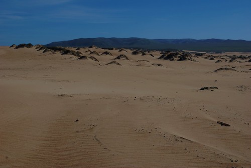 Guadalupe-Nipomo Dunes  021 | by Sandauph