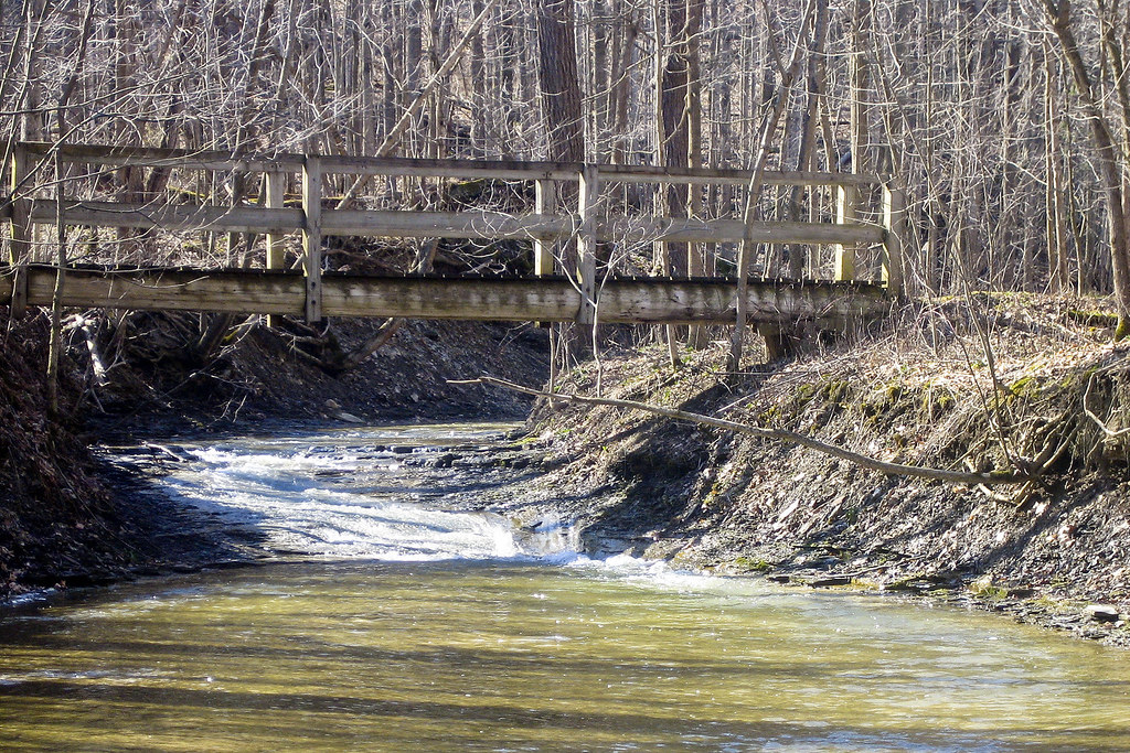 Aanhankelijk Geheugen belangrijk Wooden Bridge | Karen Walker | Flickr
