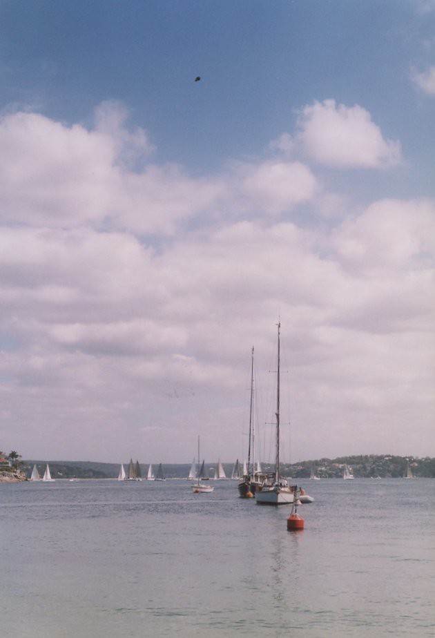 Jibbon Beach