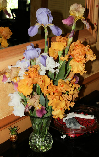 Iris Bouquet | by capehart63