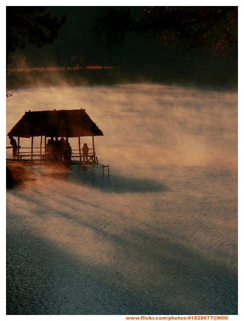 Morning Mist (Photo by Panadda_K)