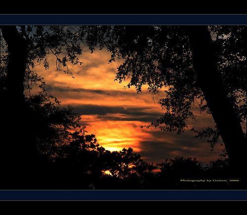 ~~~Window of Dreams~~~ | by ~~~Gasssman~~~