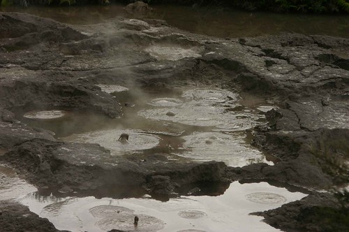Gloop | by Pacific Postcard