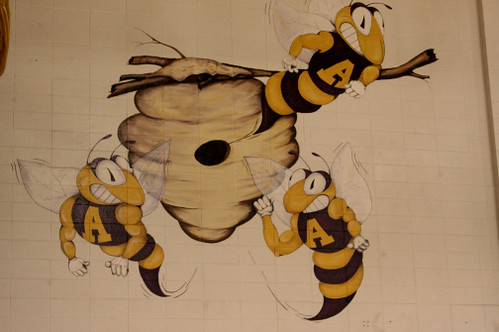 Angola Hornet Mural