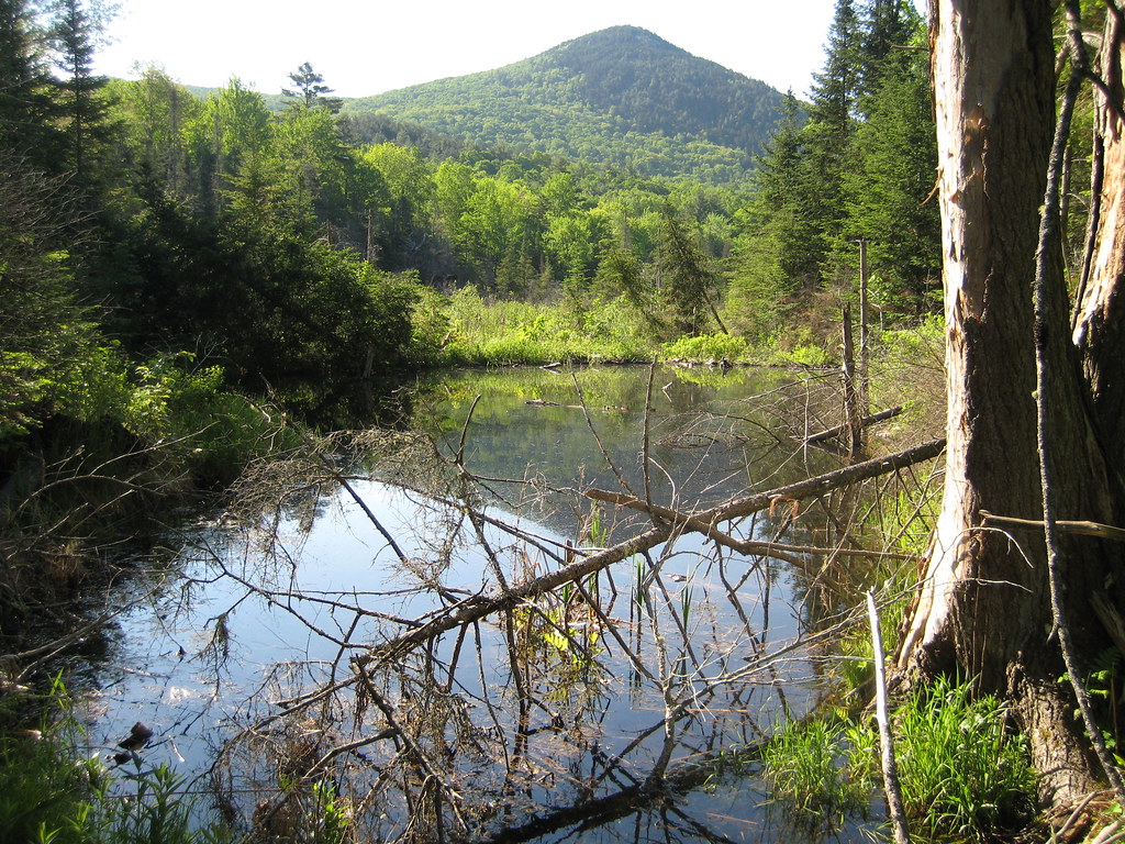 Chippewa Trail
