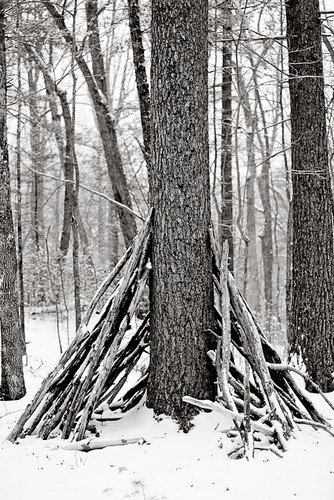 trees snow hunkersongap photoblog2009