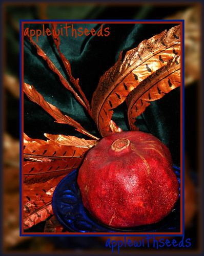 applewithseeds by dragonflydreams88