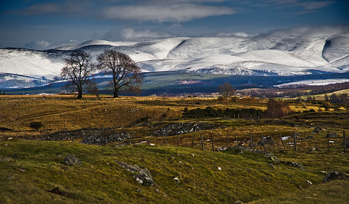 Cairngorms by notsomuchtimeoff