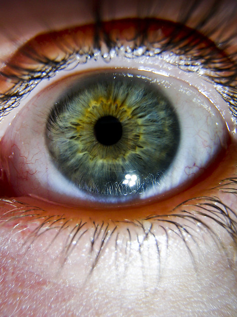 Eye macro - 2009