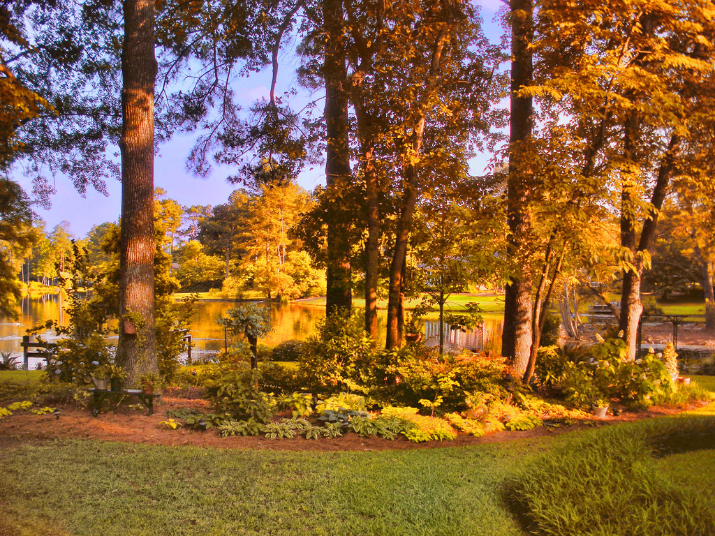 Late August Fall challenge 107 — Late Summer, Early Fall look | Sharpen sligh… | Flickr