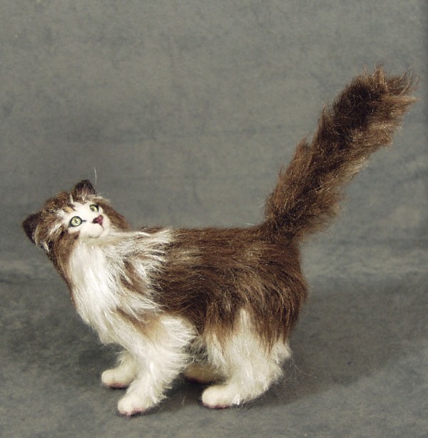 Rosie - long haired calico cat Pritten