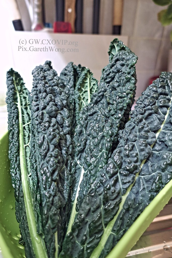Lacinato kale (cavolo nero), not sure if you like this from RAW via CaptureOne _DSC2580 by garethwong