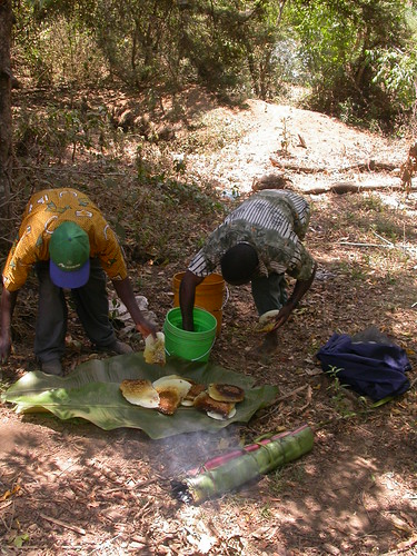 Harvesting comb | by Scamperdale