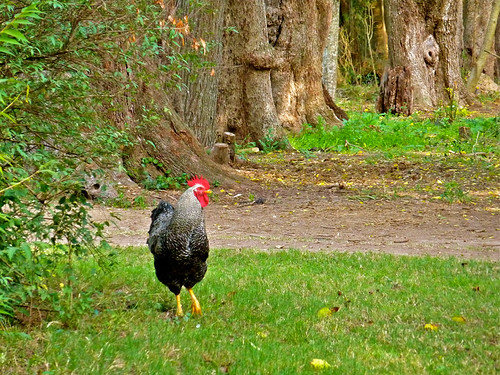 Estancia near San Antonio de Areco, Argentina