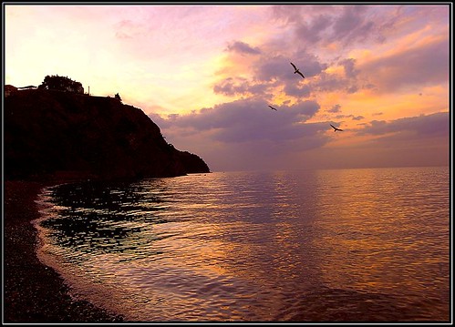 sunset sea brown sun reflection bird beach clouds turkiye mudanya bulut yansıma dalga baby7 zeytinbagi tirlye kuış
