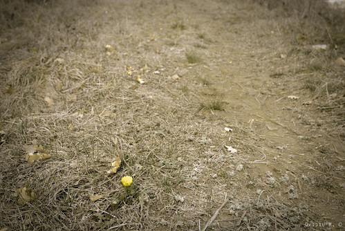 Stand out by Ovidiu H.
