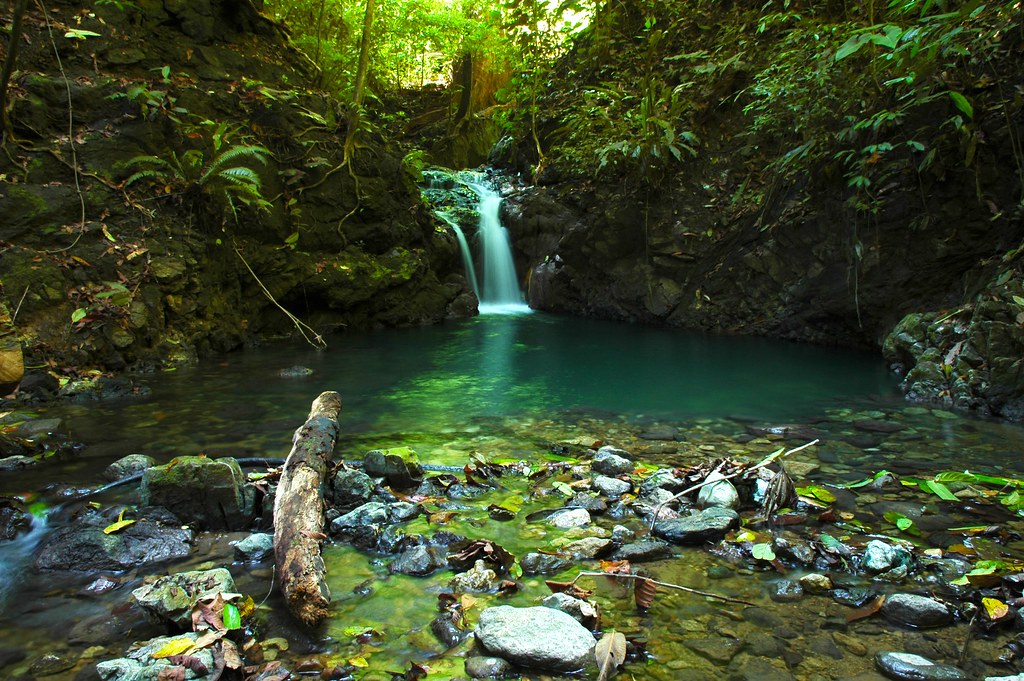 emerald pool along jungle stream/ Corcovado National Park,… | Flickr