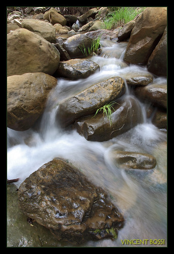 california longexposure blur water grass creek photoshop landscape moss rocks stream vacaville wideangle le frame 1740 1740f4l llens mixcanyon 5d2 5dii