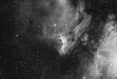 Pelican Nebula in Ha | OTA : Takahashi FCT-76 Triple Apochro… | Flickr