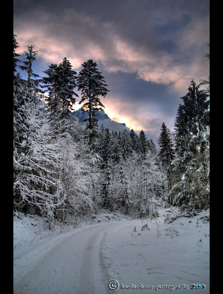 Winterimpression by mcPhotoArts™