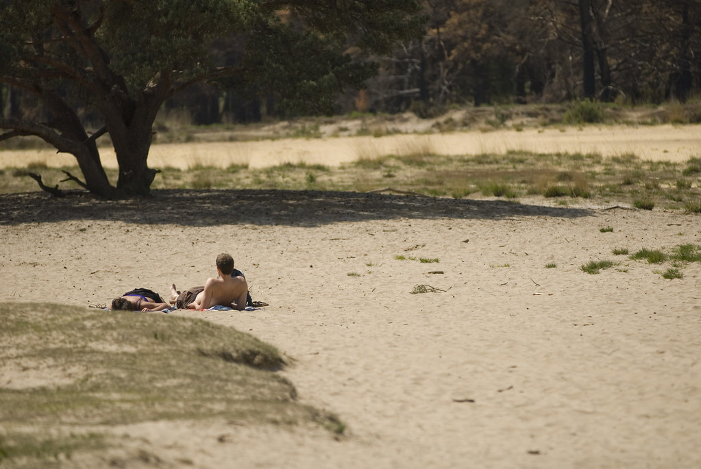 Kalmthoutse Heide