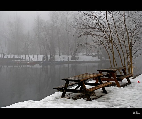 Fog and silence | by alfvet
