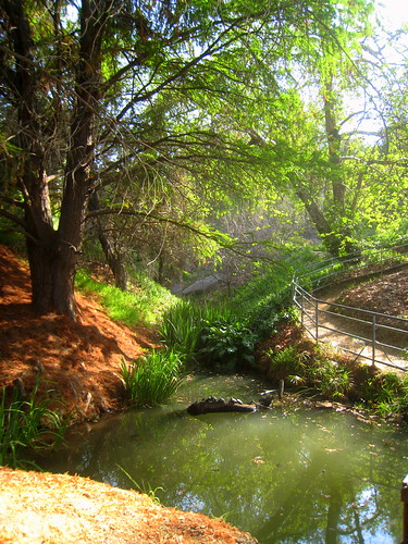 Alder Canyon at the Botanical Gardens of U.C. Riverside